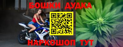 шишки Сланцы