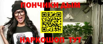шишки Сланцы