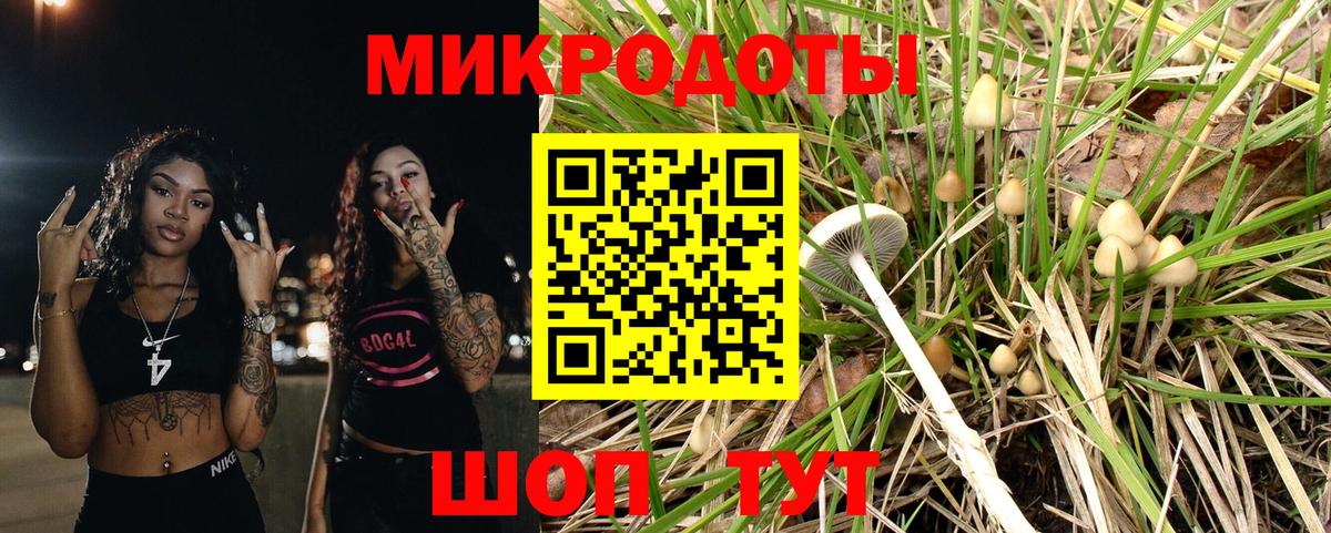 Галлюциногенные грибы Psilocybine cubensis Боровичи