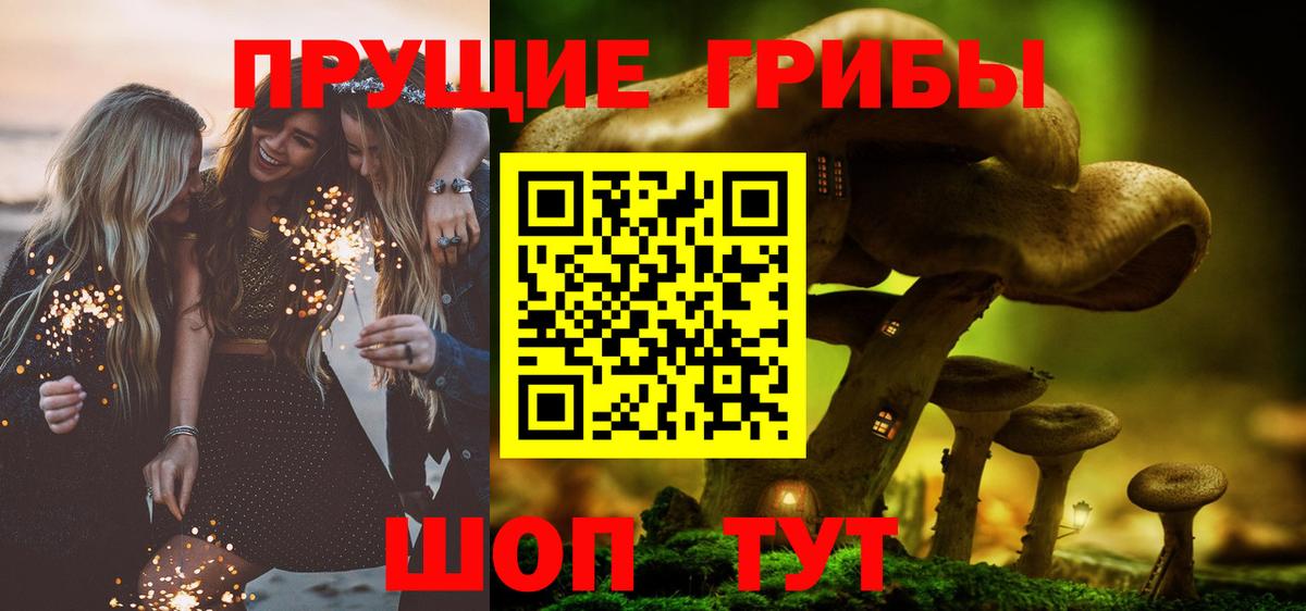 Боровичи  Псилоцибиновые грибы MAGIC MUSHROOMS  Вход с VPN 